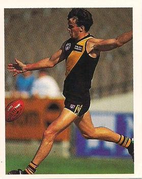 1993 Select AFL Stickers #201 Scott Turner Front